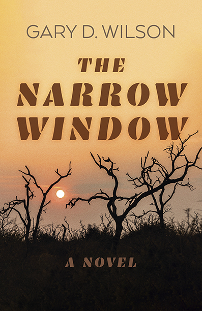Narrow Window, The